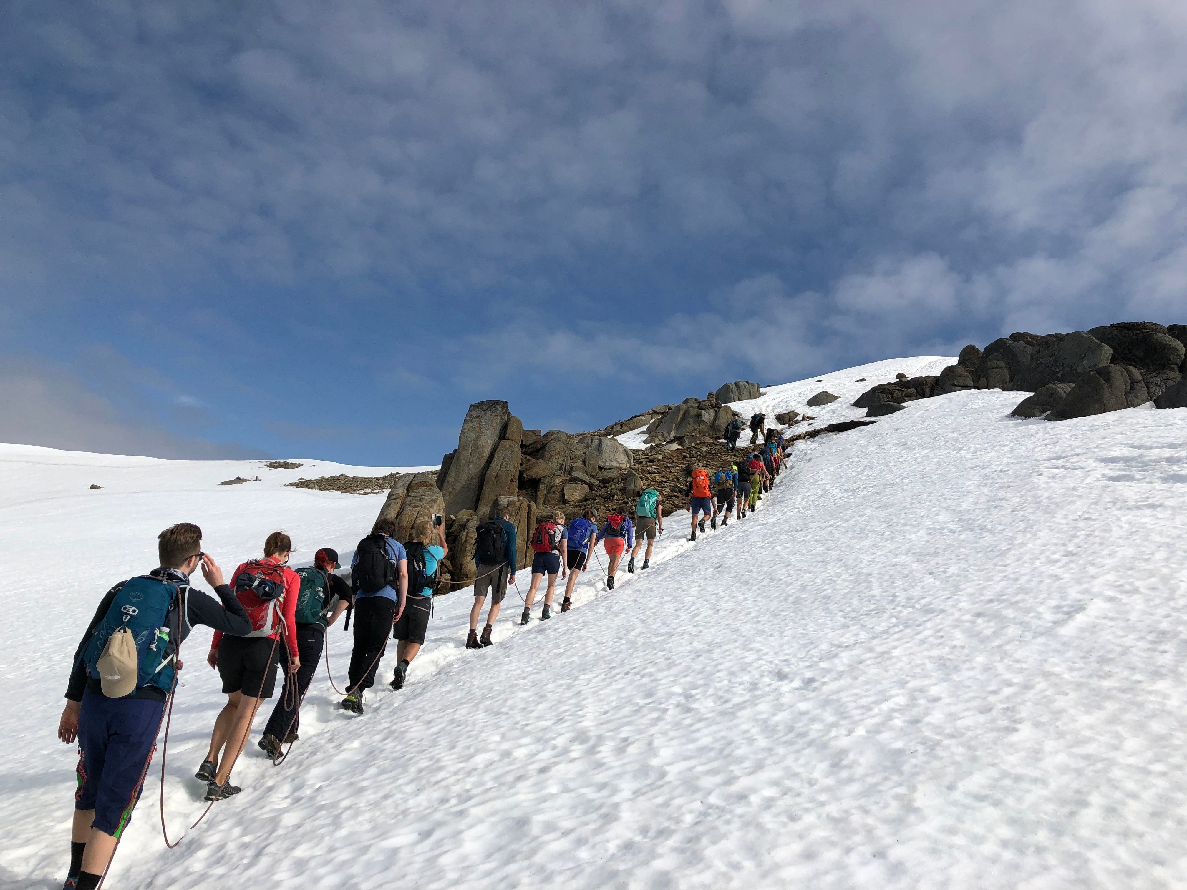 Møysaltur