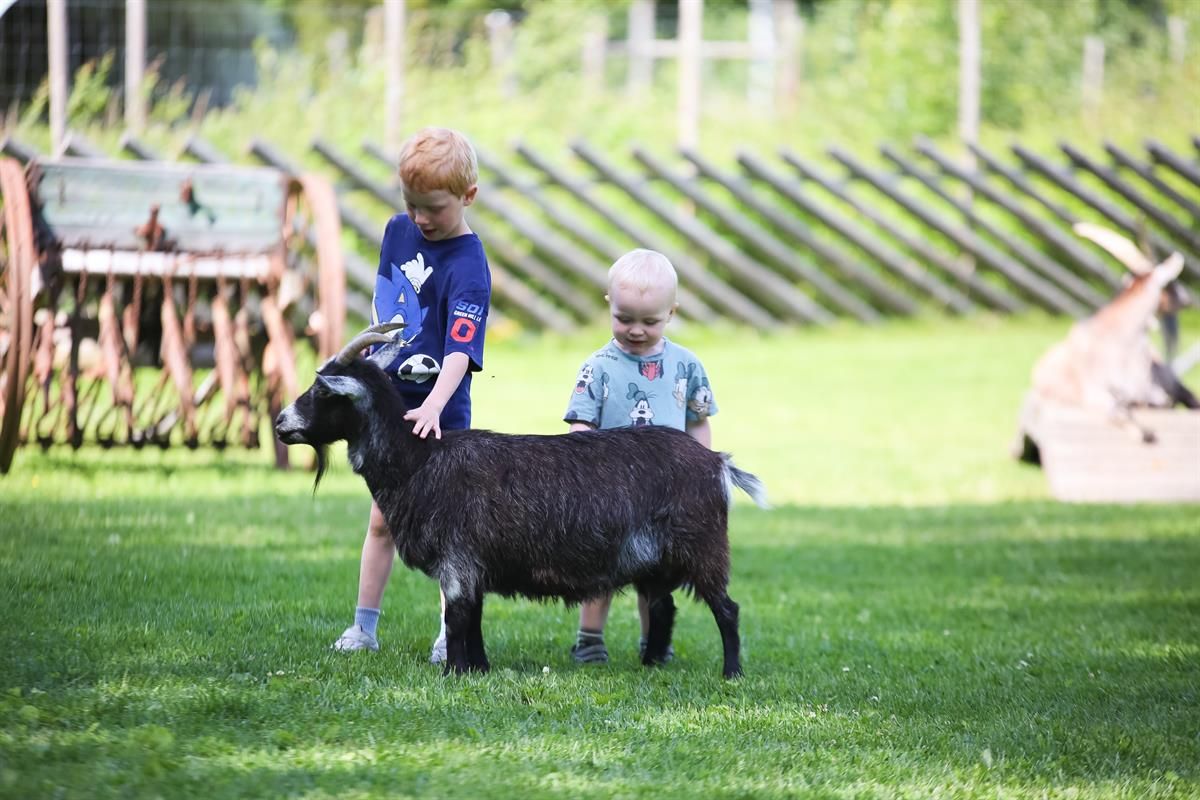 To barn går sammen med en liten svart geit på et gressområde.