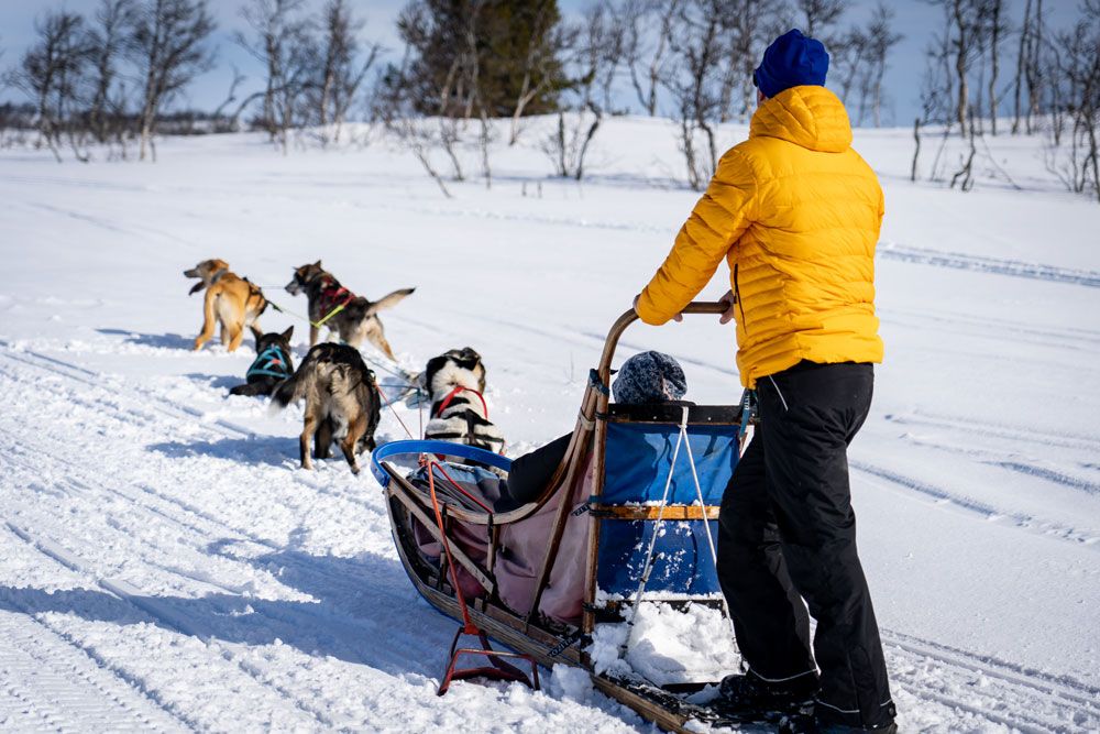 on tour with Telemark Husky Tour