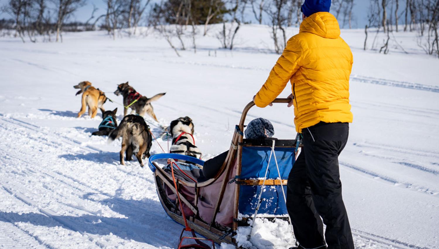 on tour with Telemark Husky Tour