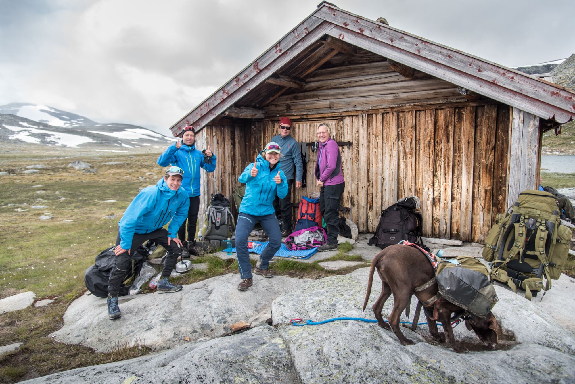 Musk Ox Safari Personal Tour, 2 days
