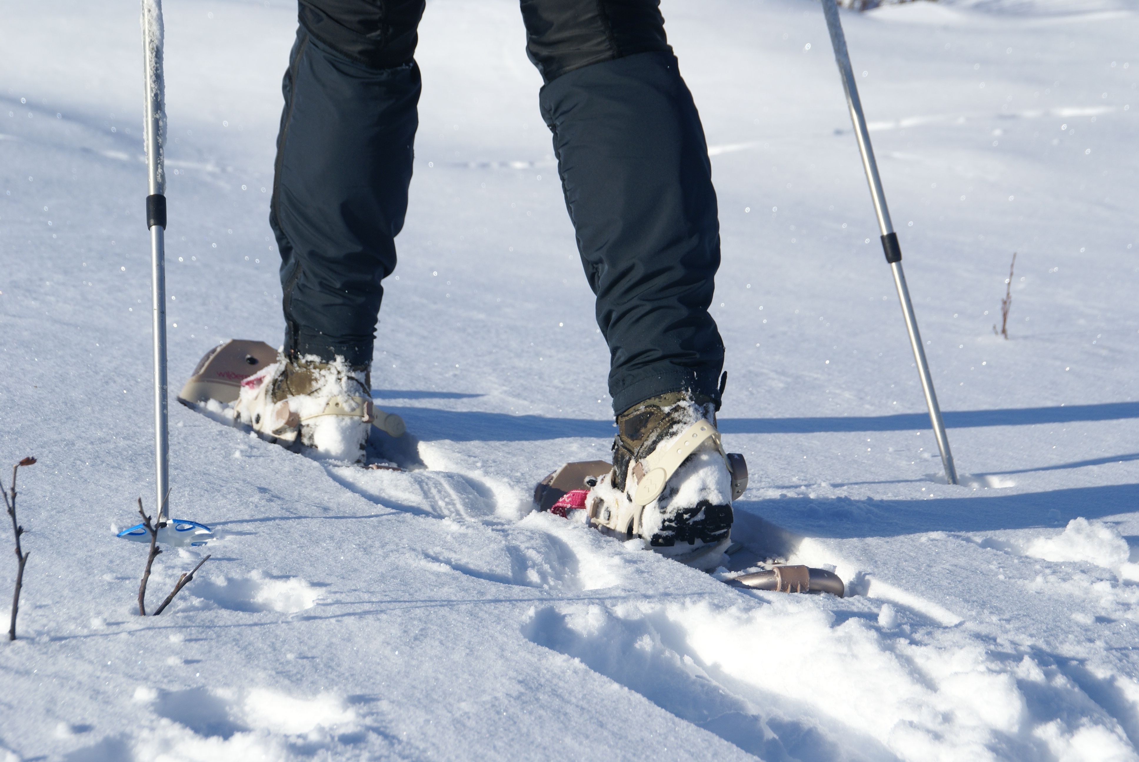 It is easy to use snowshoes