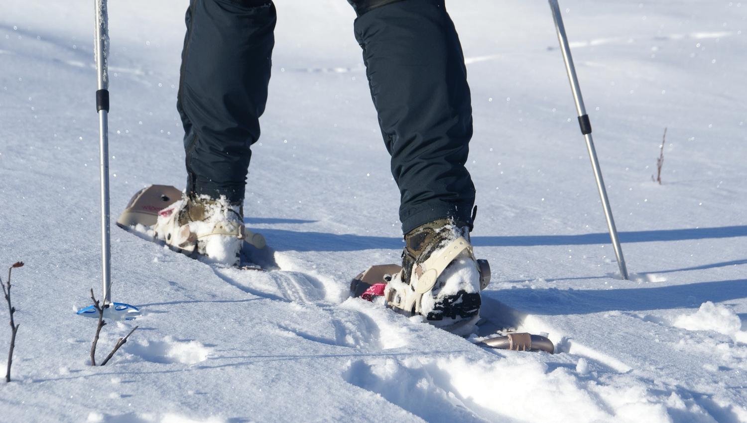 It is easy to use snowshoes