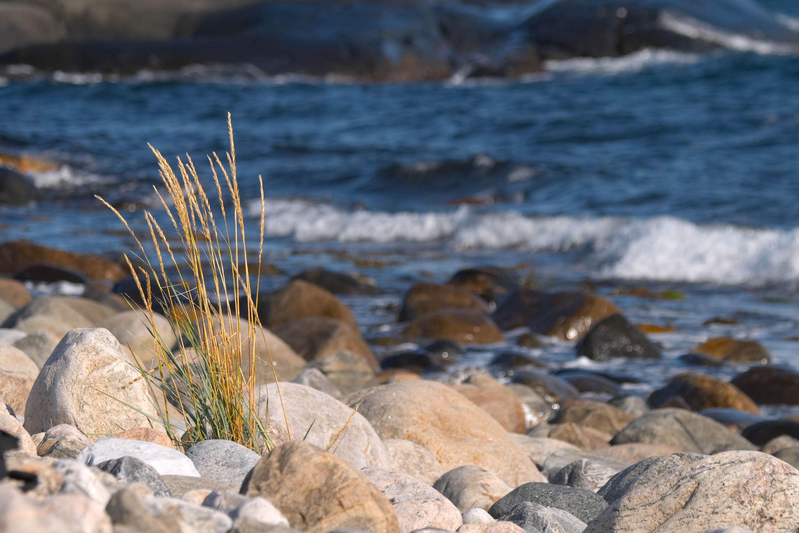 Boulder and pebble beach on Spornes, Tromøy island, outside of Arendal in Southern Norway, Peder Austrud.