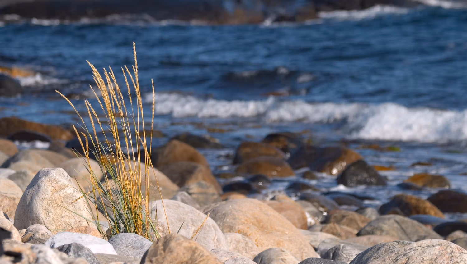 Boulder and pebble beach on Spornes, Tromøy island, outside of Arendal in Southern Norway, Peder Austrud.