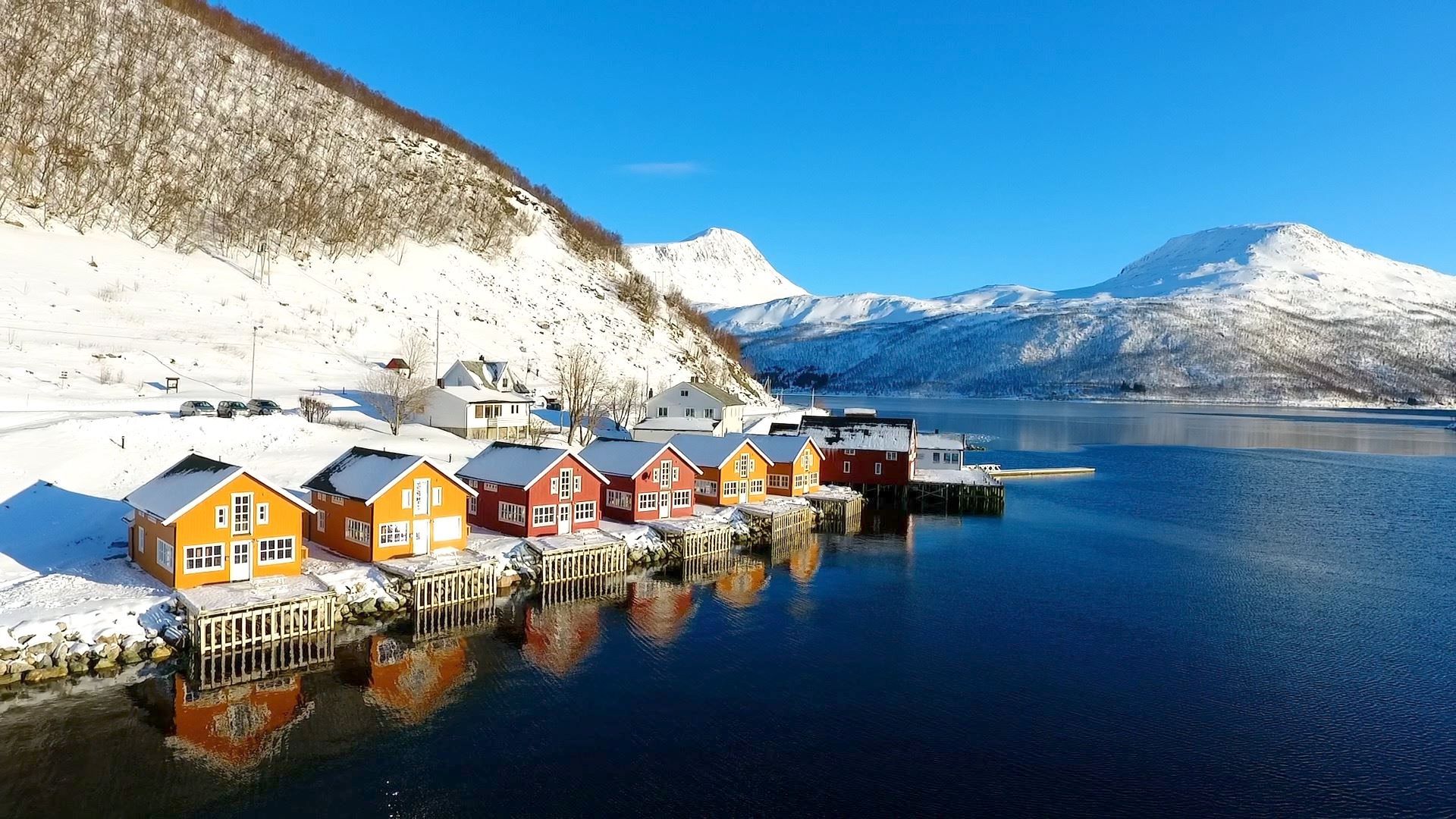 Lauklines in winter