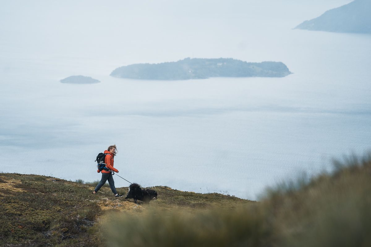Woman and dog hiking in the mountains over the Hardangerfjord. 