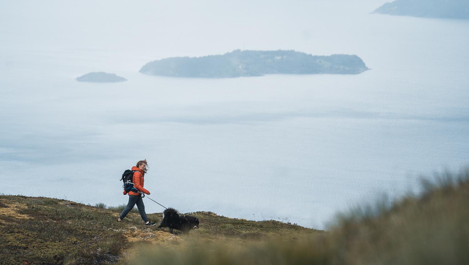 Woman and dog hiking in the mountains over the Hardangerfjord.
