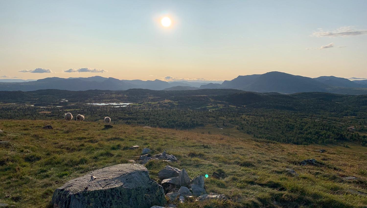 Auenhaugen