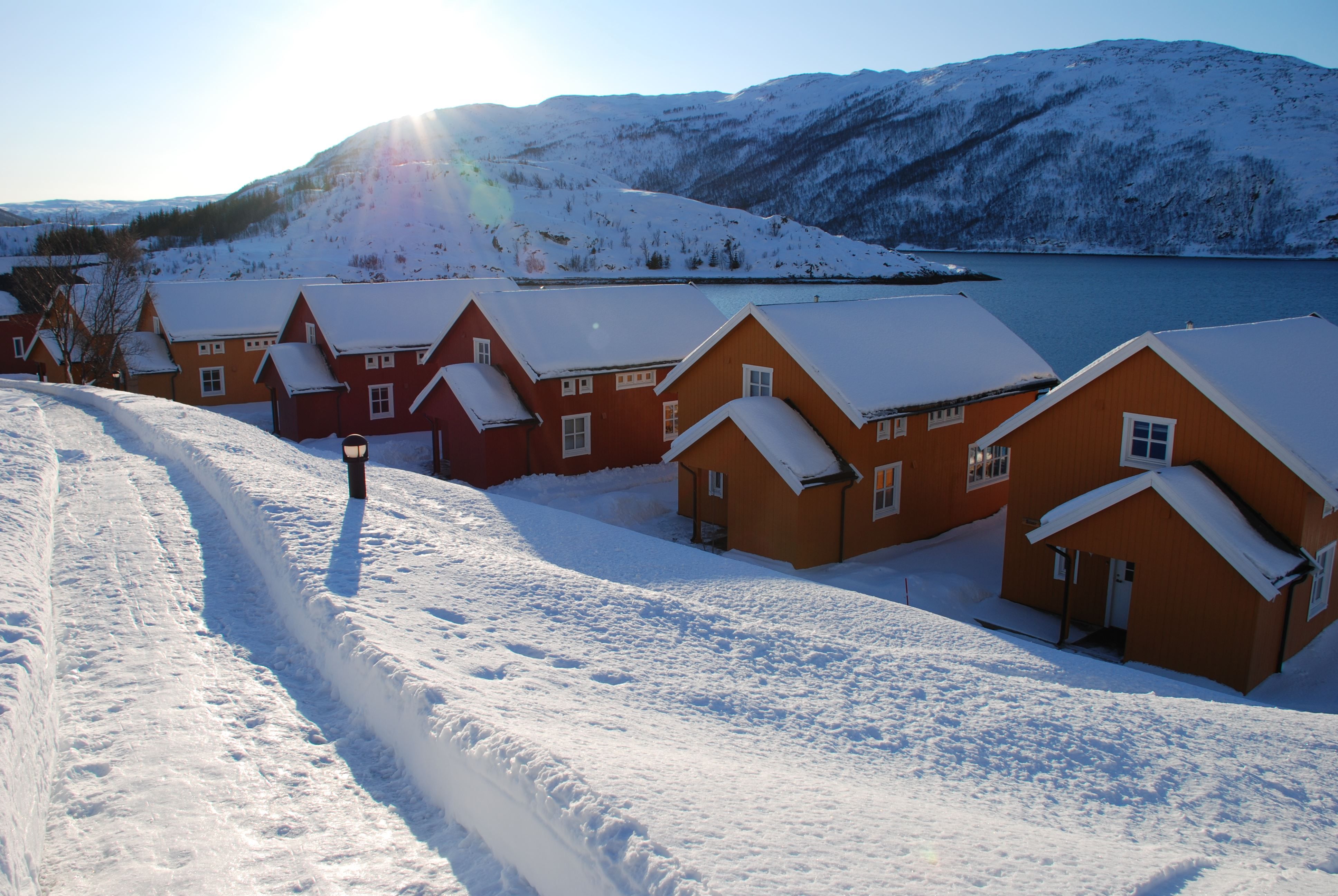 Lauklines in winter