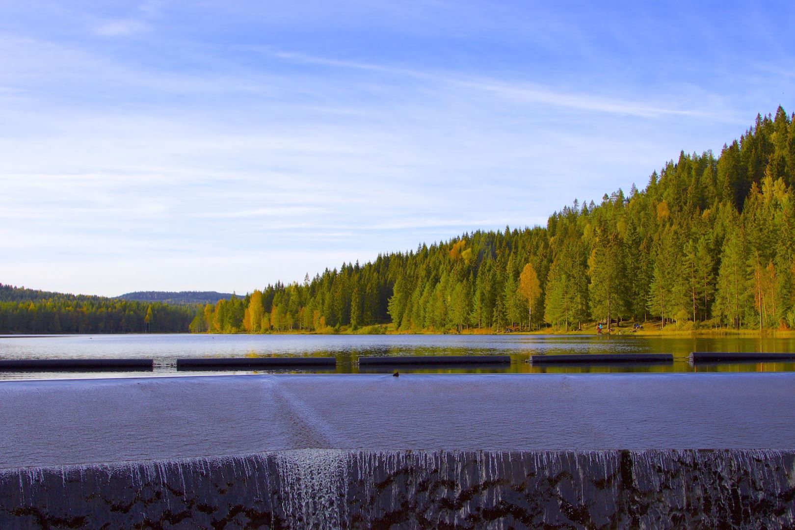 the dam 