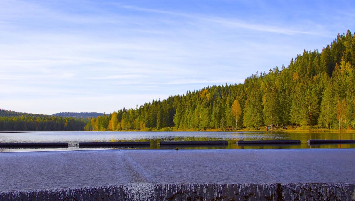 the dam