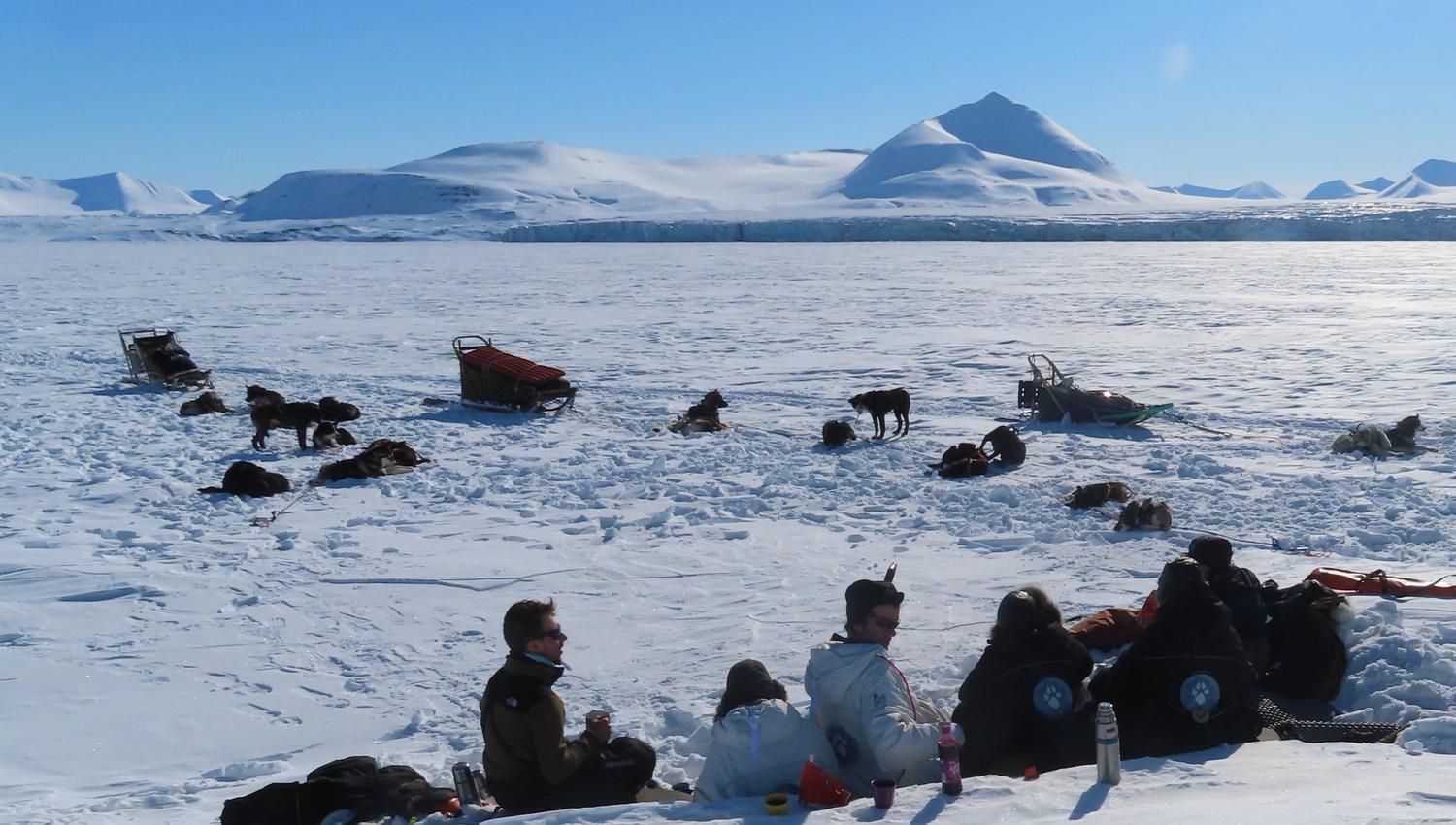 En gruppe med gjester og guider som sitter i snø og tar en matpause på tur, med parkerte hundesleder og hvilende hunder i et snødekt landskap i bakgrunnen