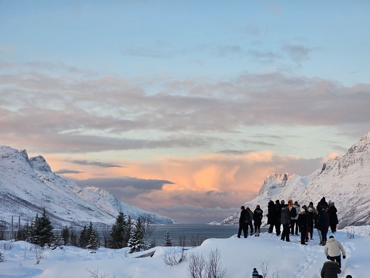 Guests looking over a fjord