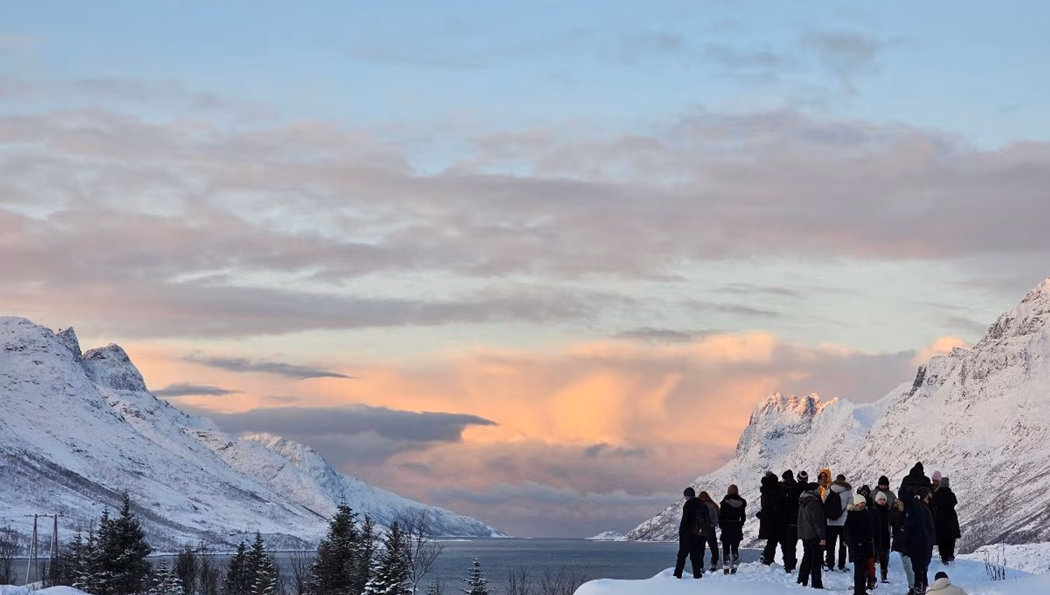 Guests looking over a fjord