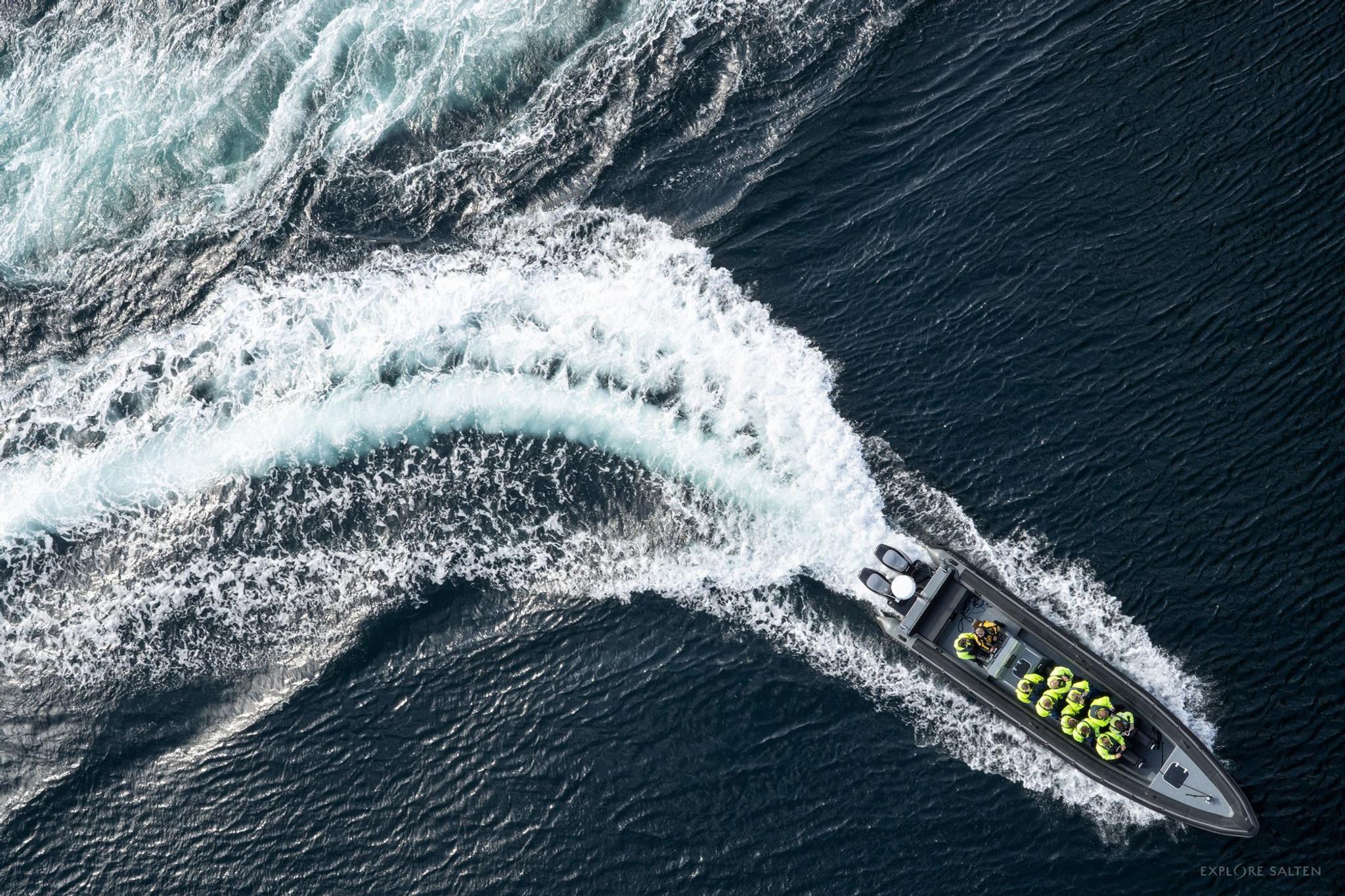 RIB to Saltstraumen with Sea Eagle Safari - Explore Salten