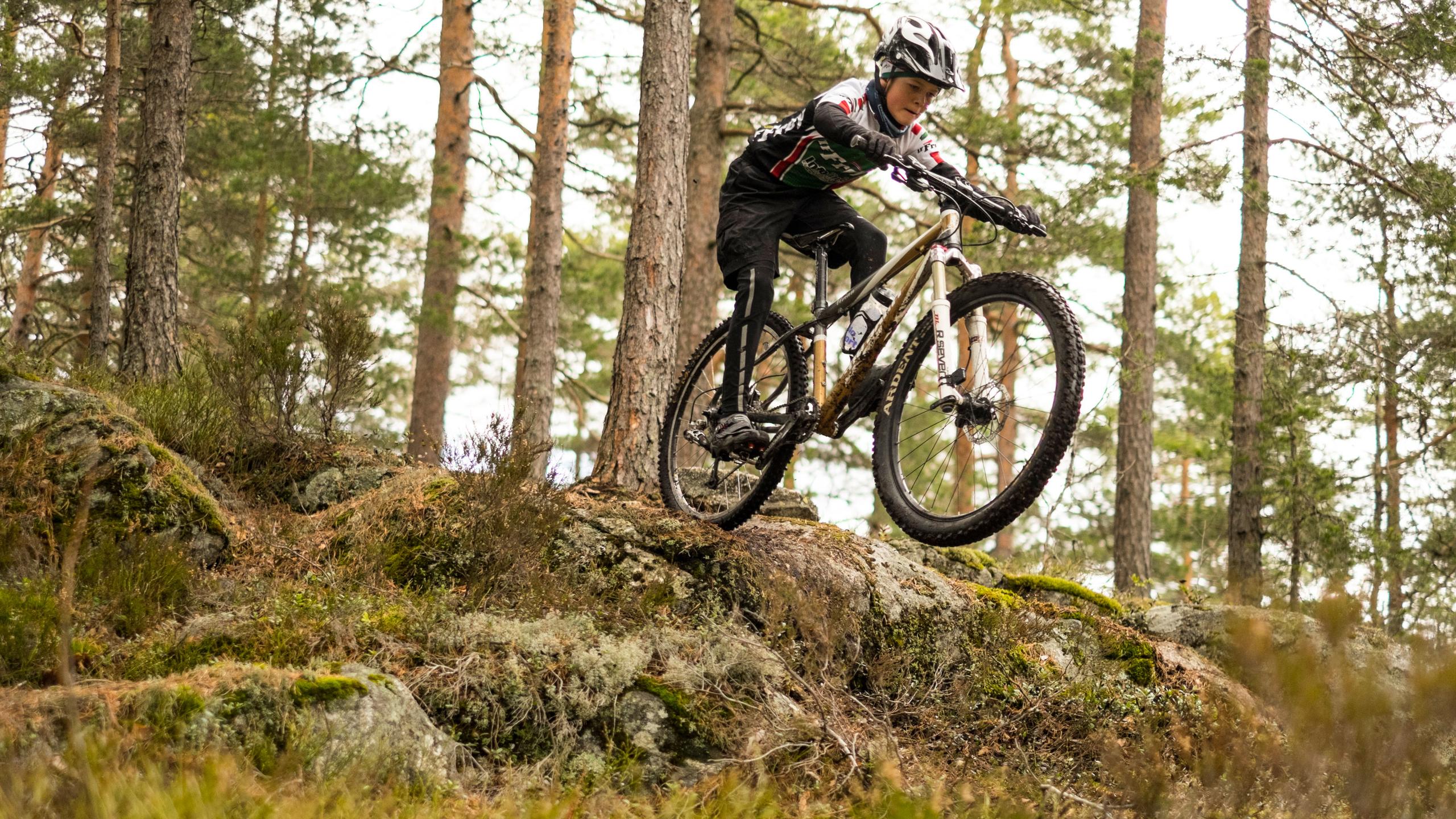 cyclist on a mountain bike in the forest