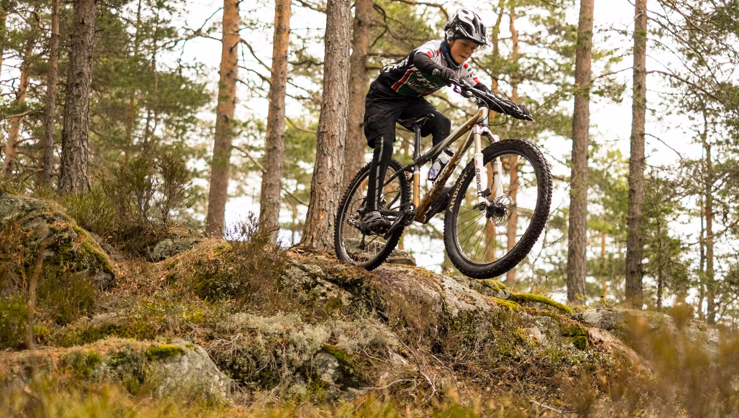 cyclist on a mountain bike in the forest