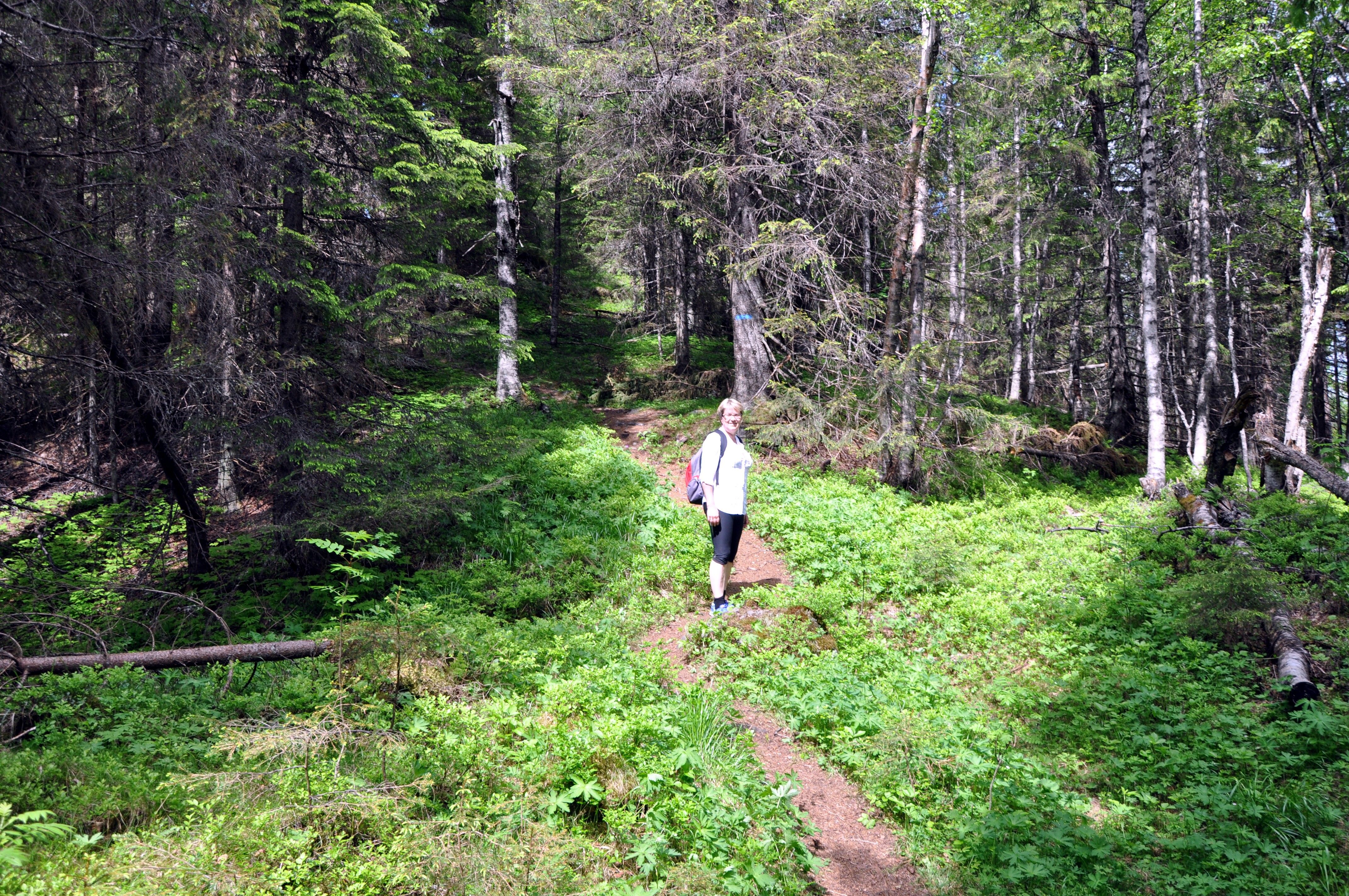 På vei til Flotsberget , Hans Olav Osbak
