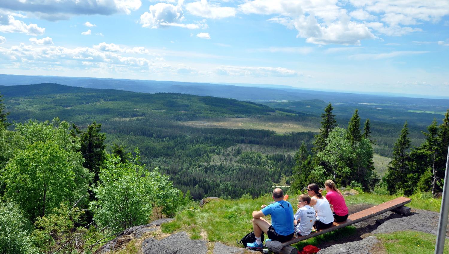 Utsikt fra Flotsberget, Hans Olav Osbak