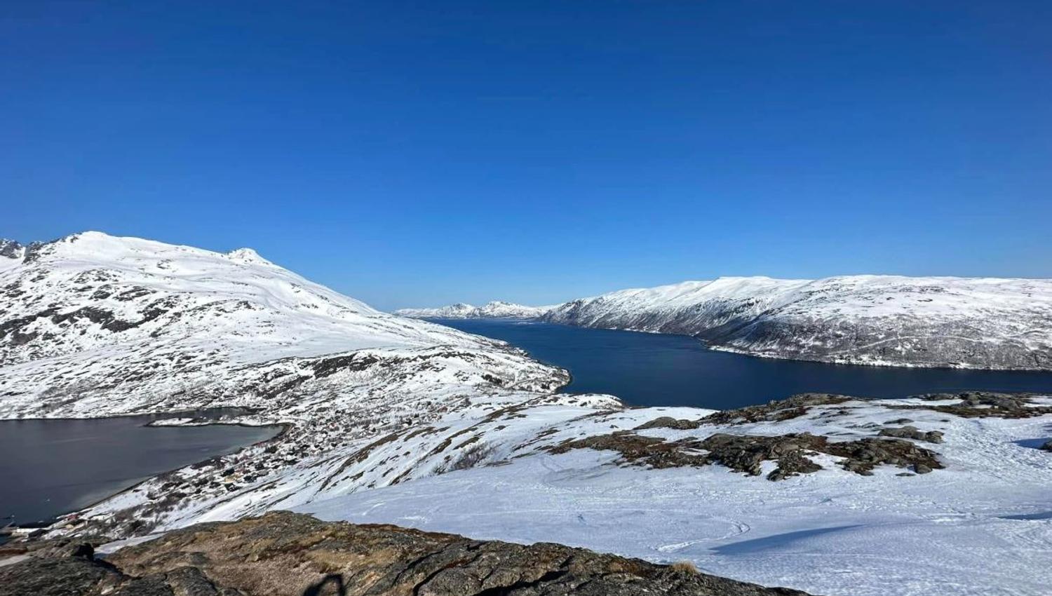 Arctic landscape