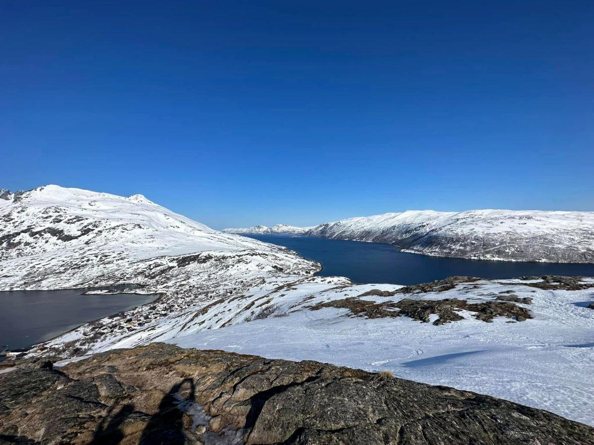 Arctic landscape
