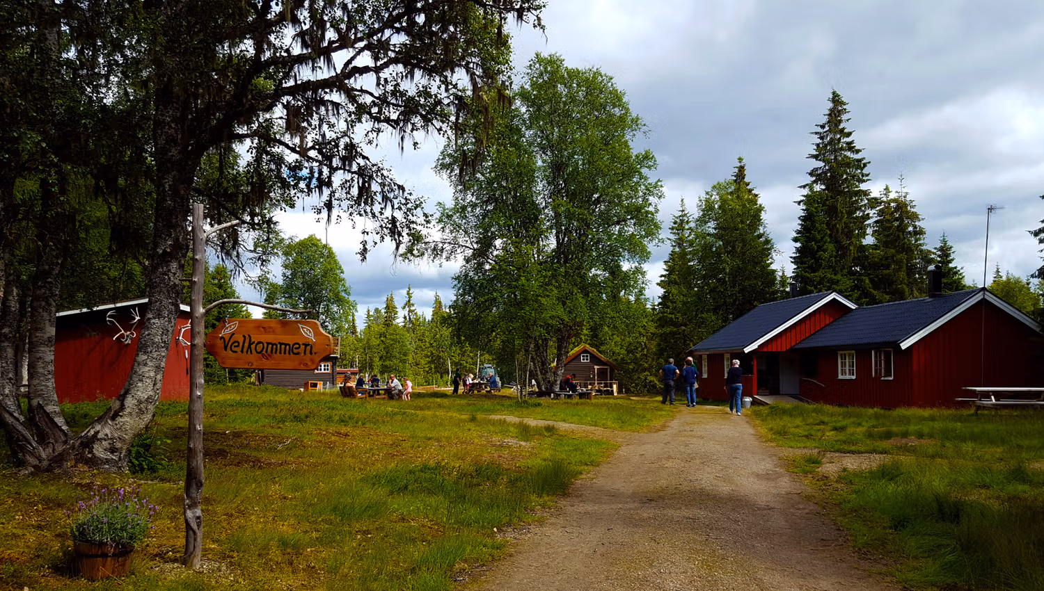 Holsingseteren summer mountain farm is one of many summer mountain farms that welcome guests in Snåsa