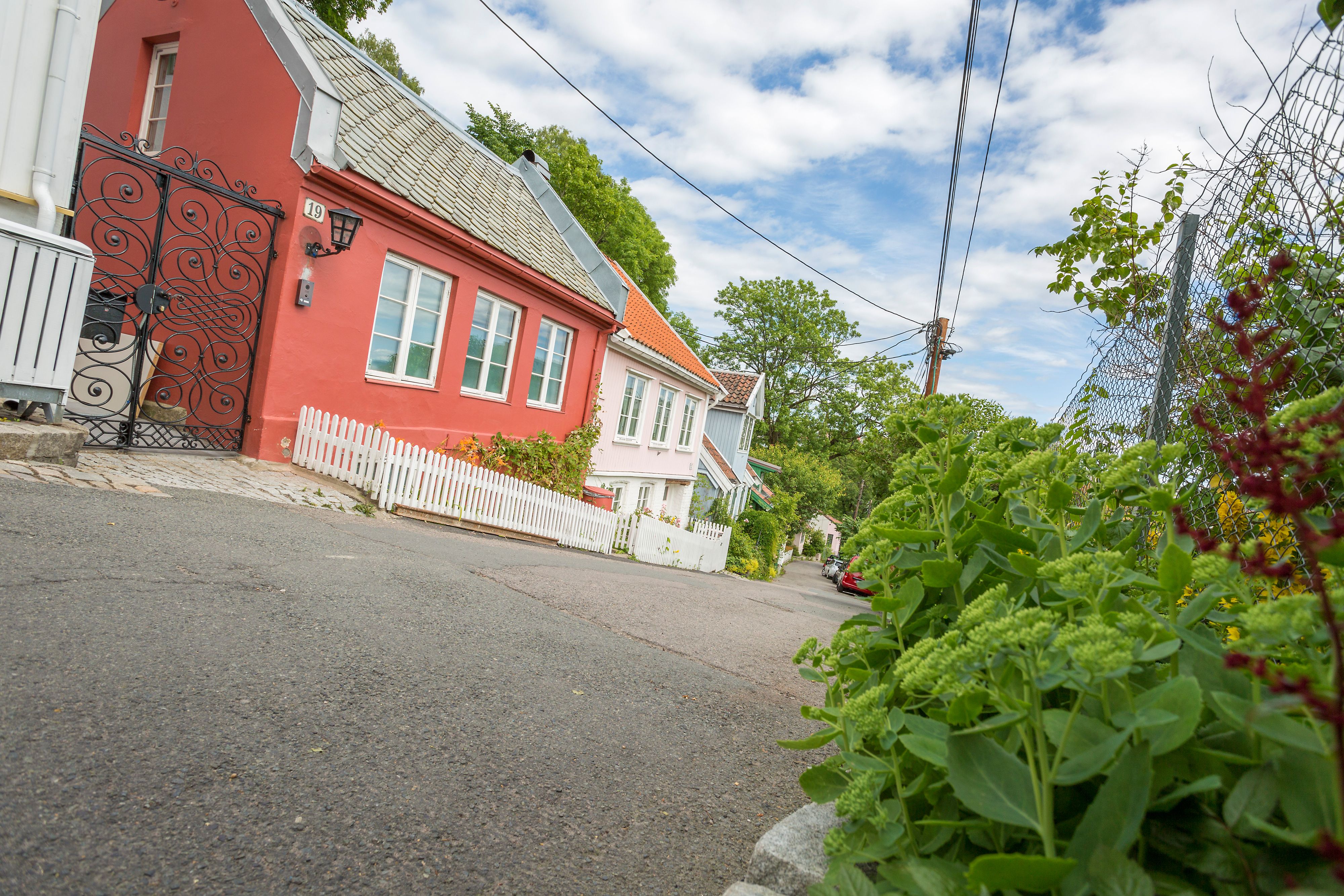 Telthusbakken with old houses on one side and an allotment garden on the other.