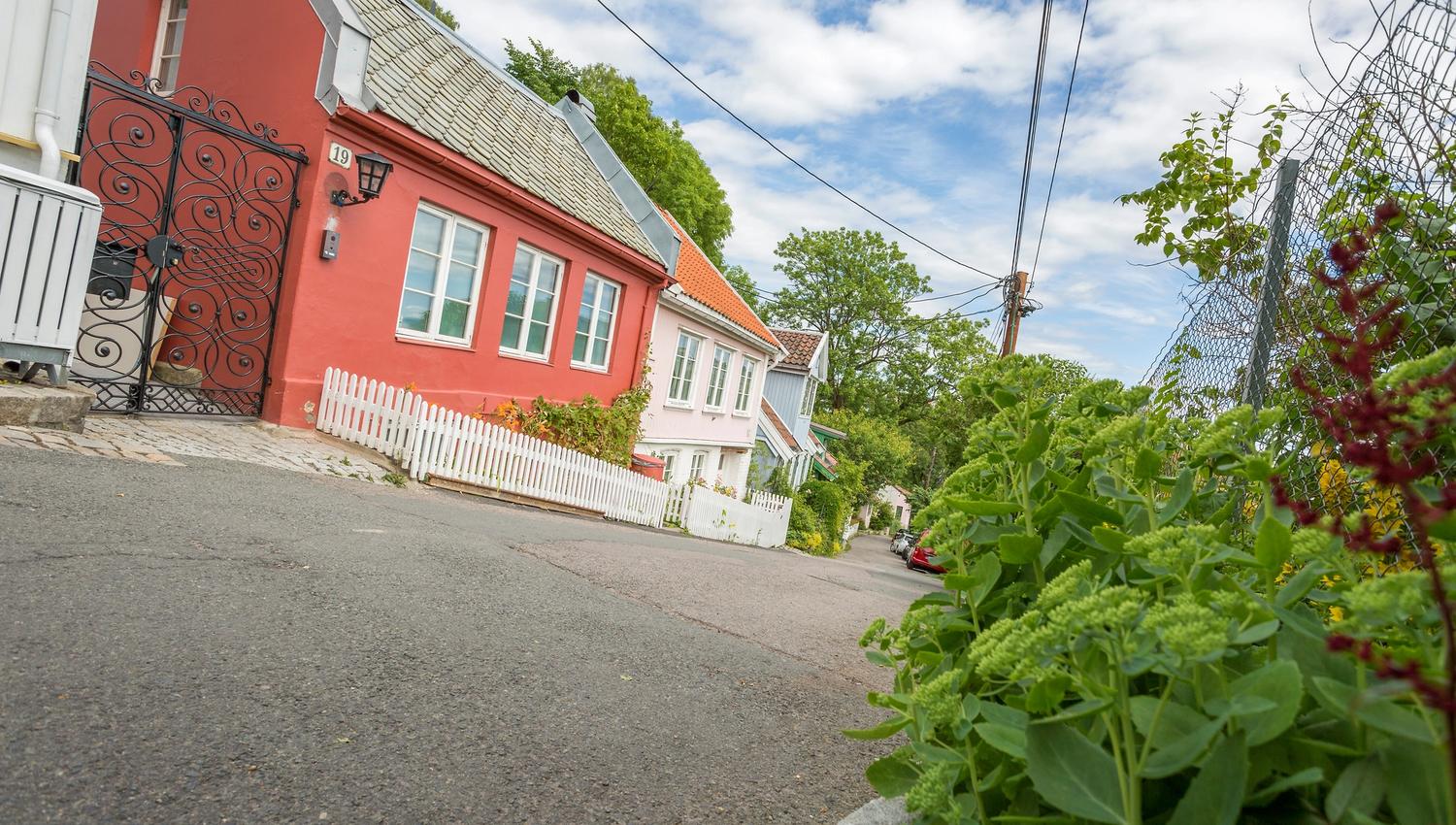 Telthusbakken with old houses on one side and an allotment garden on the other.