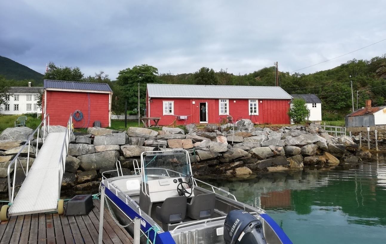 brygge med båter.