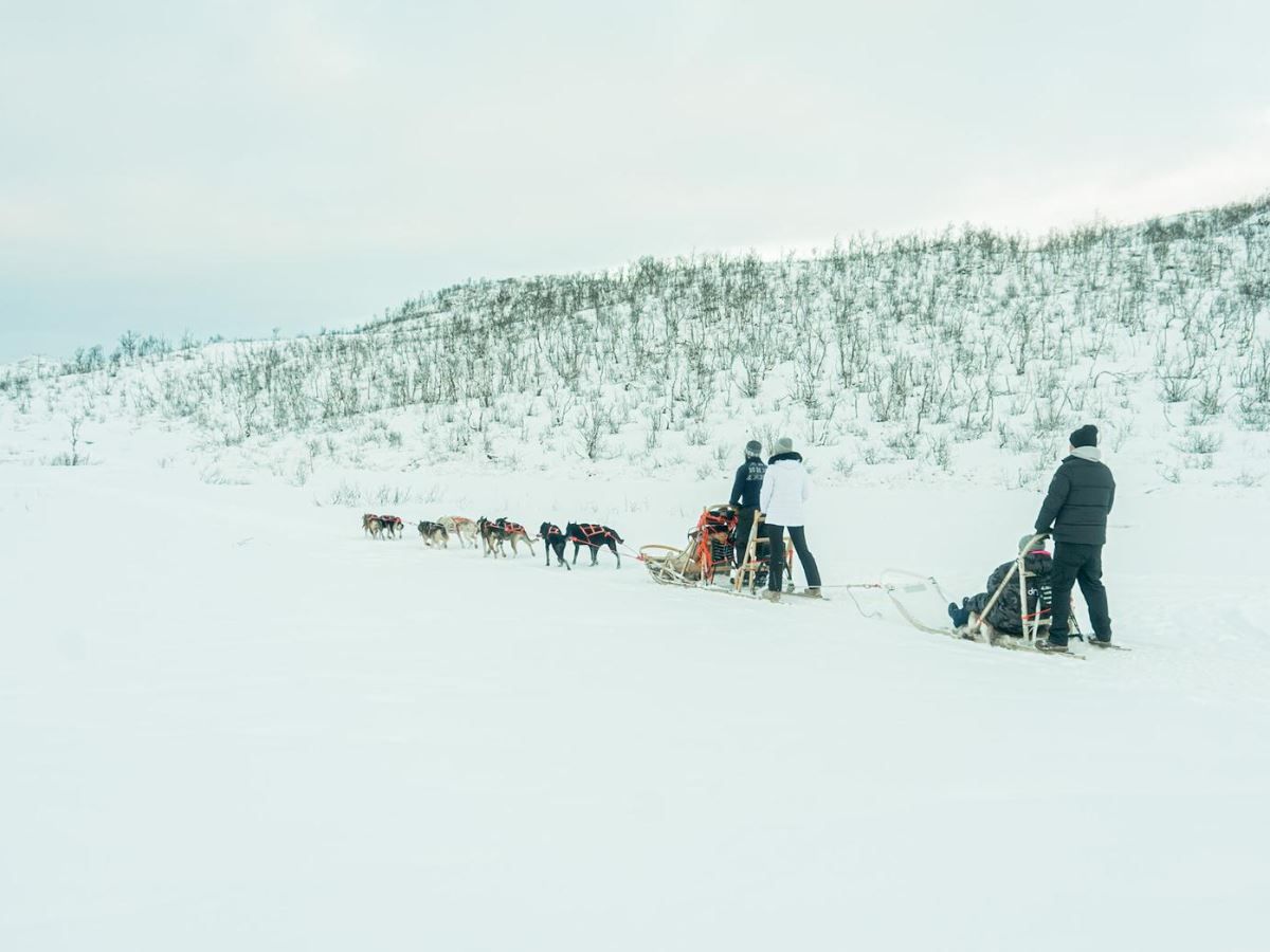 Dog sledding through an open winter landscape with snow-covered mountains