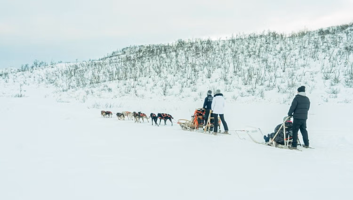 Dog sledding through an open winter landscape with snow-covered mountains