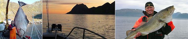 fishing pictures