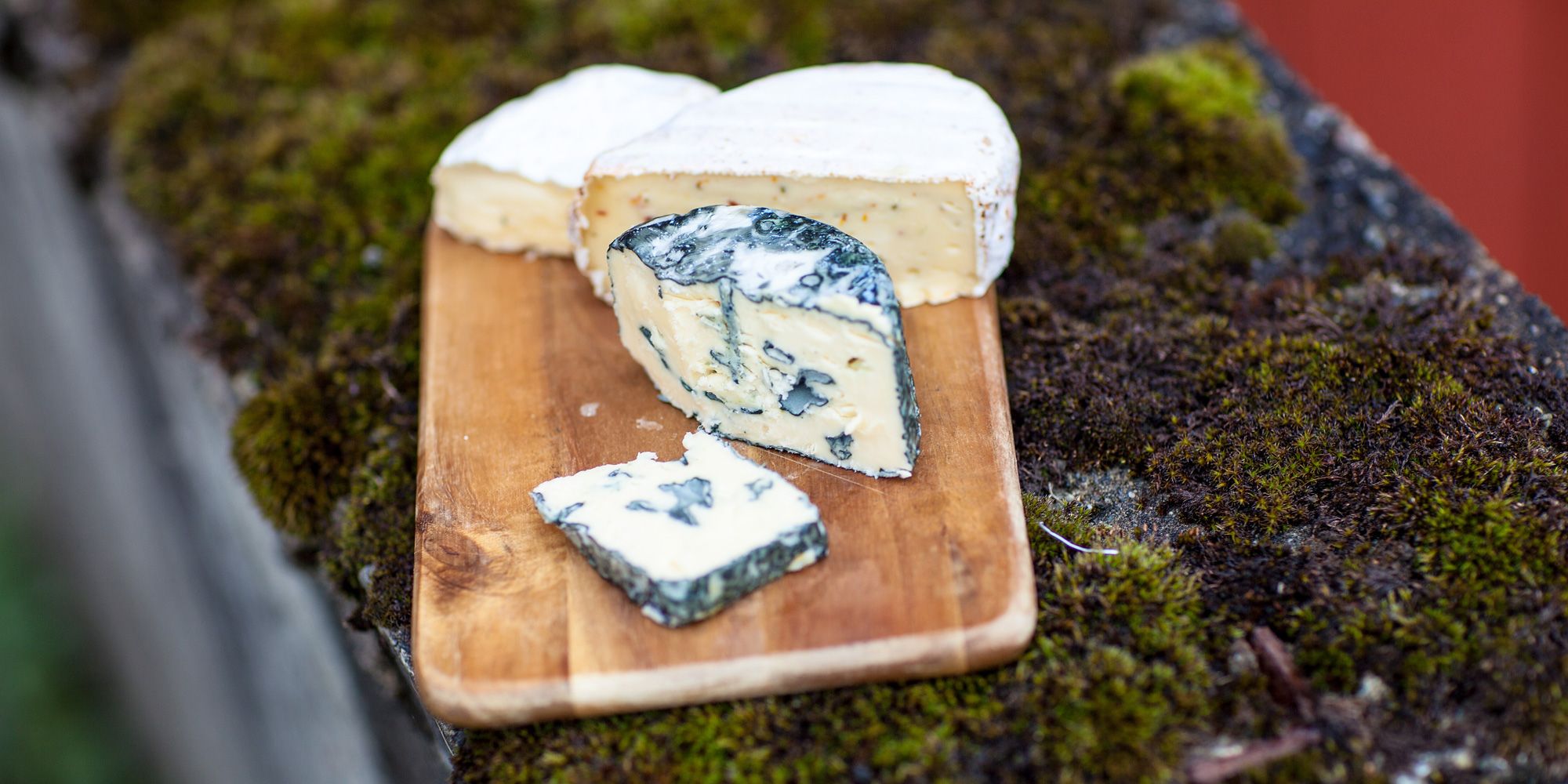 Awardwinning cheese from Gangstad Farm