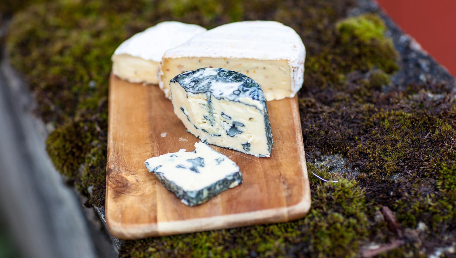 Awardwinning cheese from Gangstad Farm