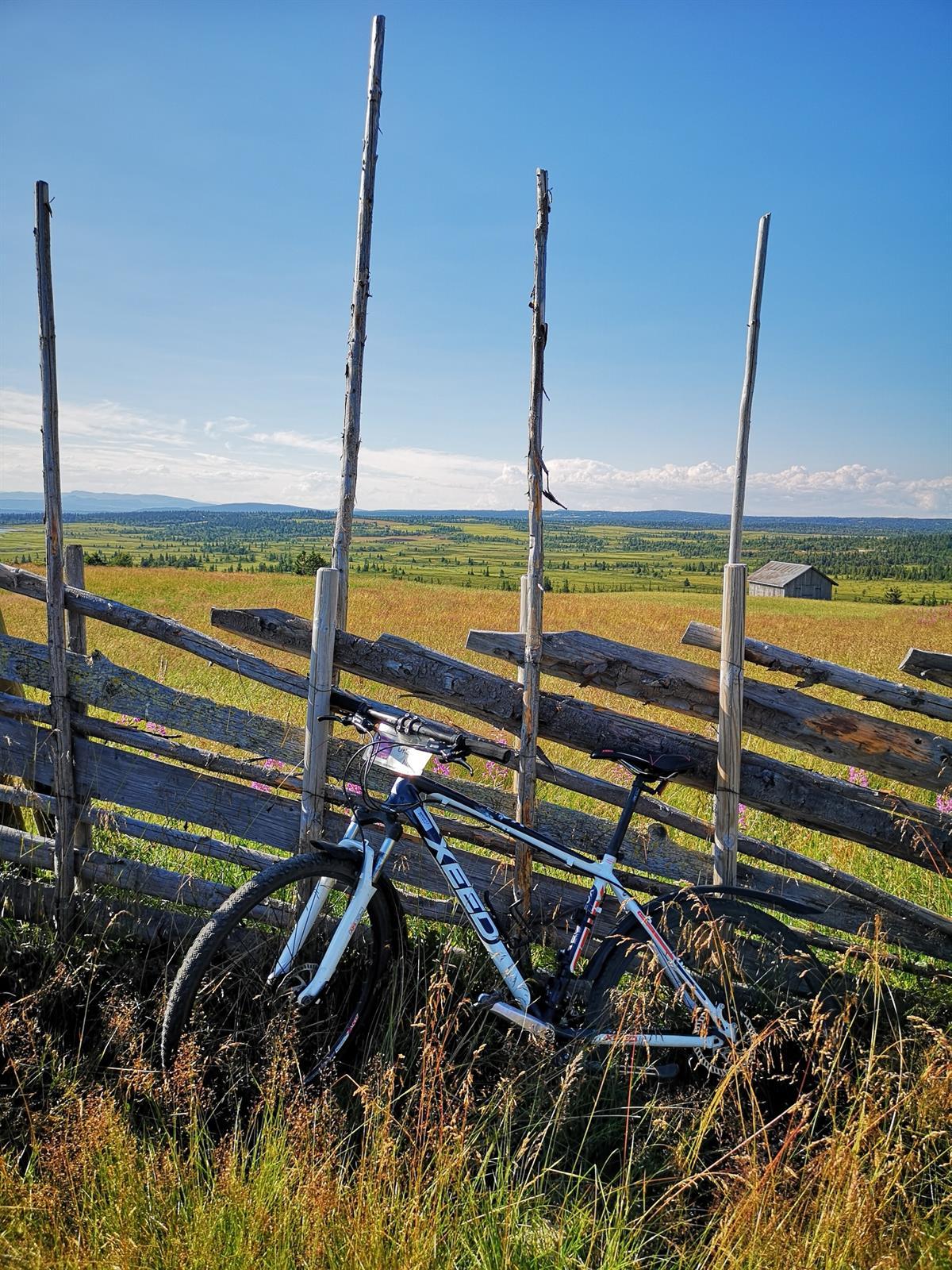 Bicycle rental | Pellestova Hotell