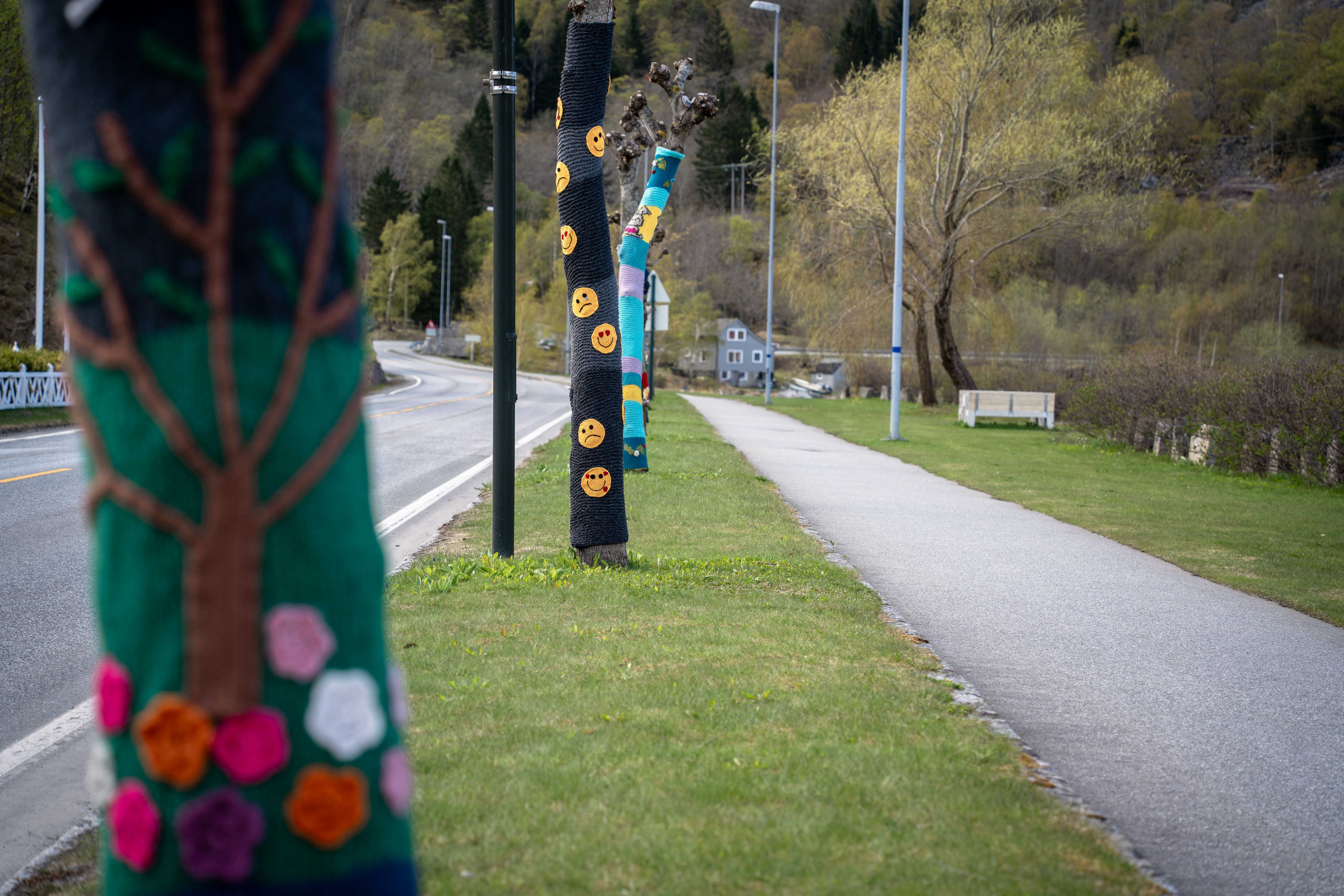 Some of the "knitted trees" next to the main road.