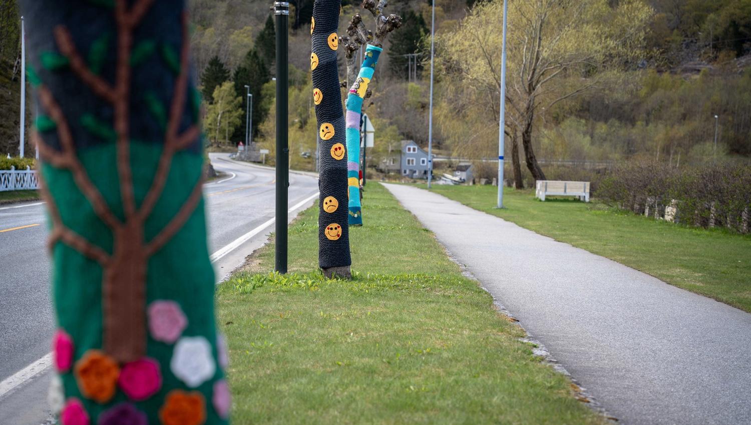 Some of the "knitted trees" next to the main road.