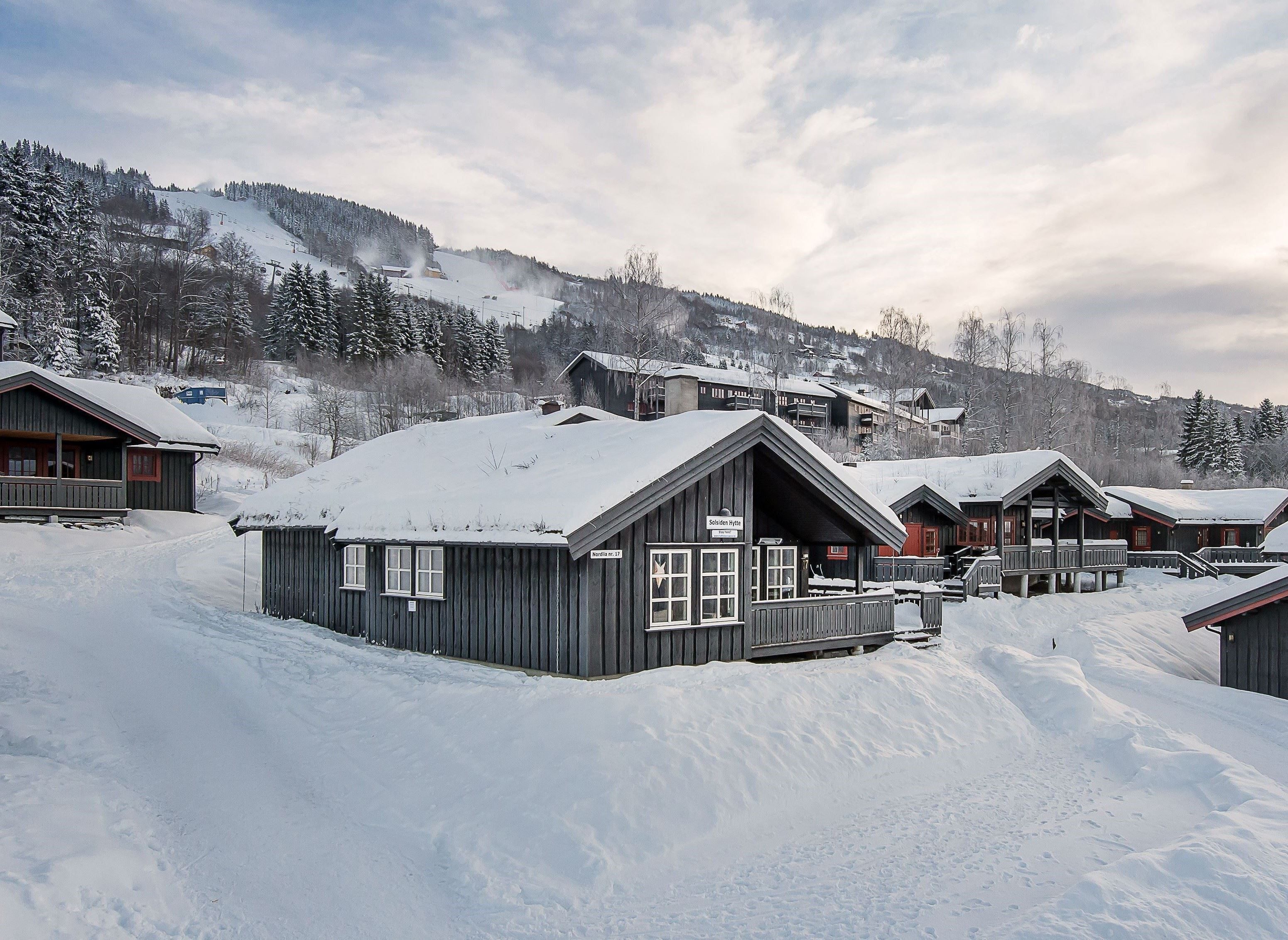 Nordlia 17