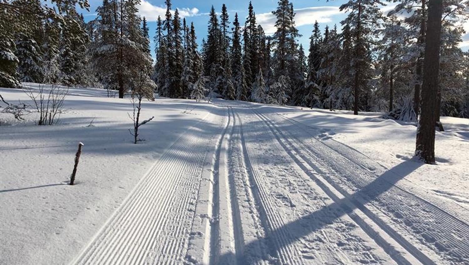 Cross country ski tracks. Photo