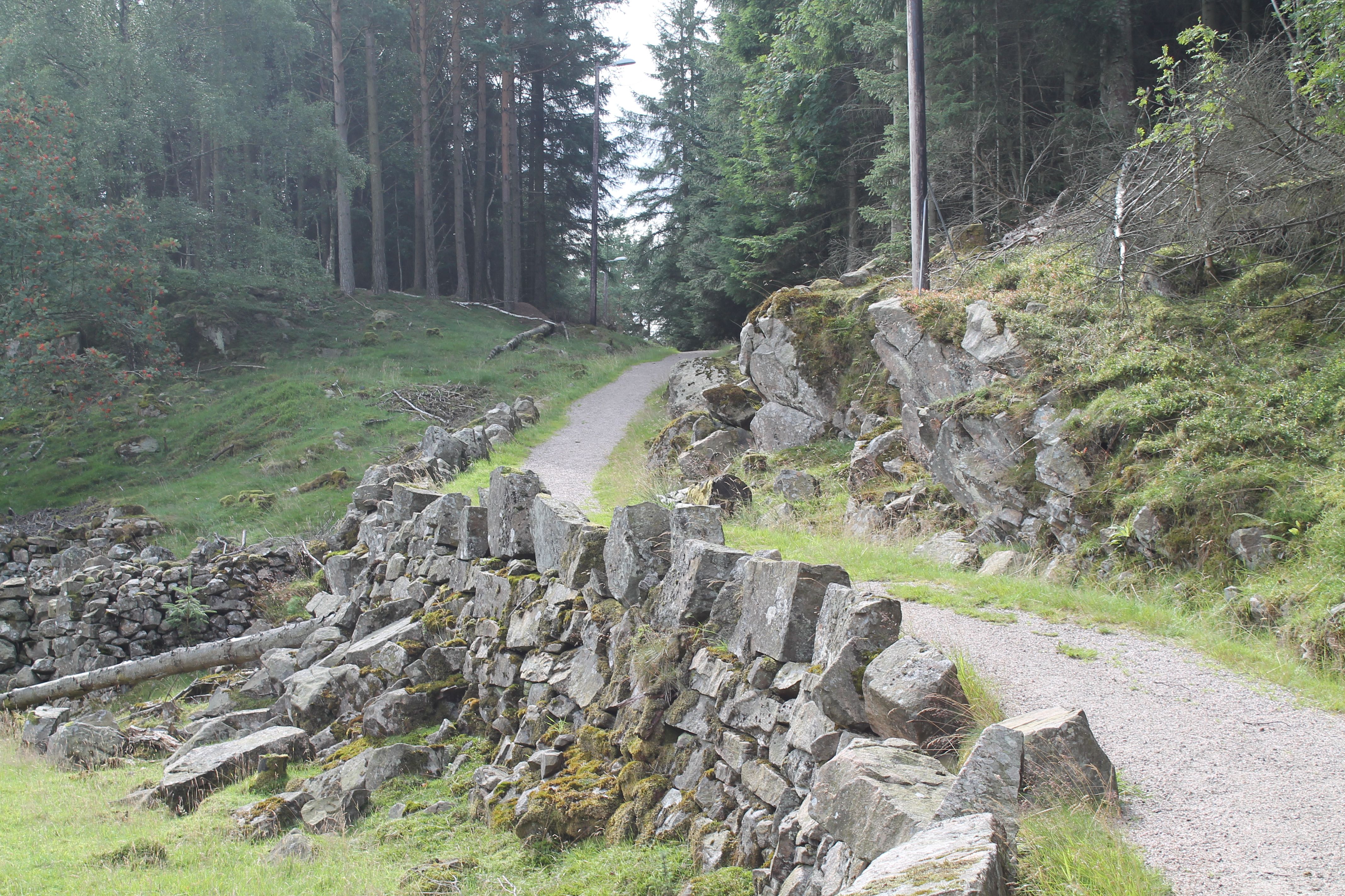 Tursti ved en steingjerde, midt i skogen