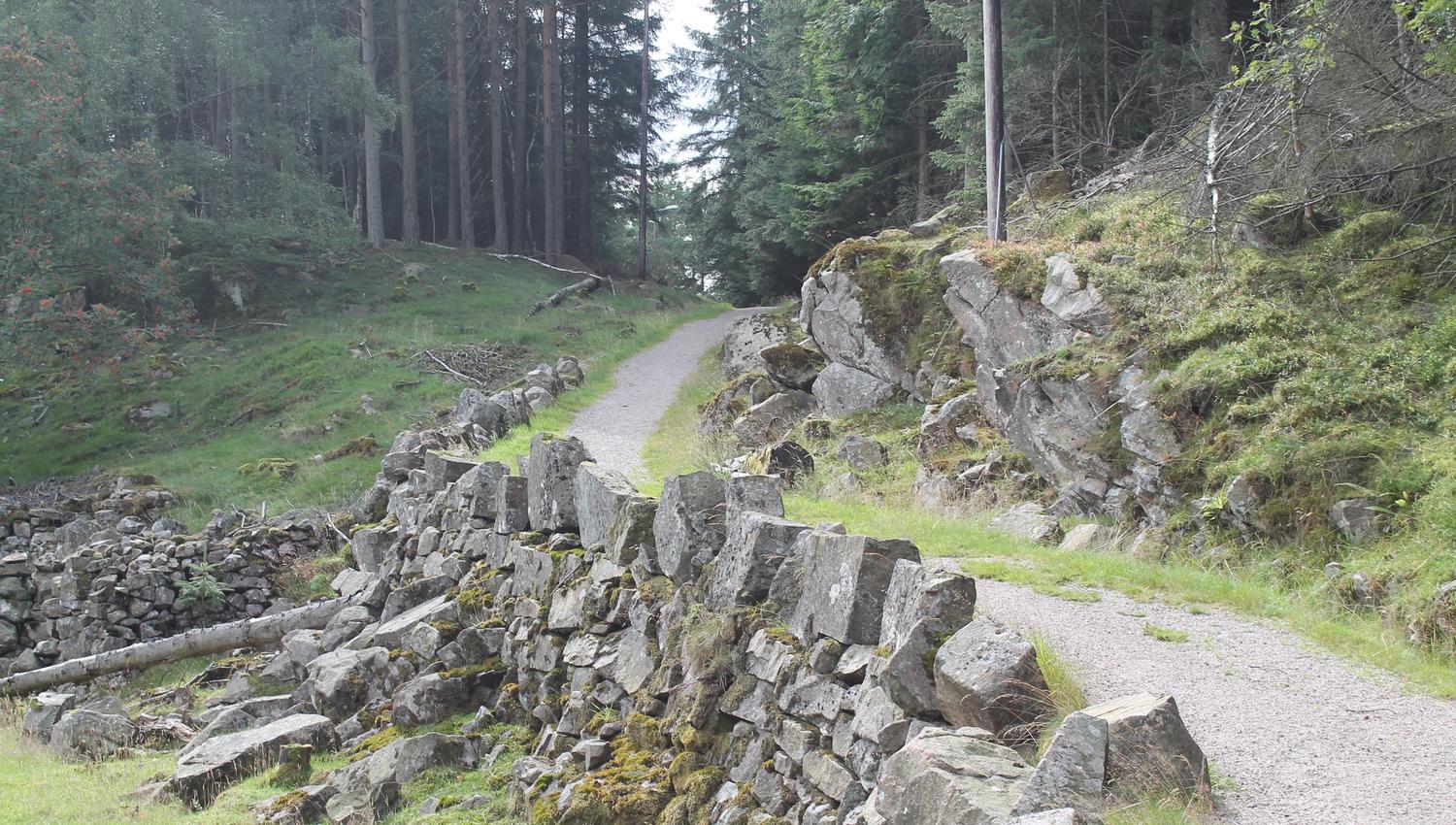 Tursti ved en steingjerde, midt i skogen