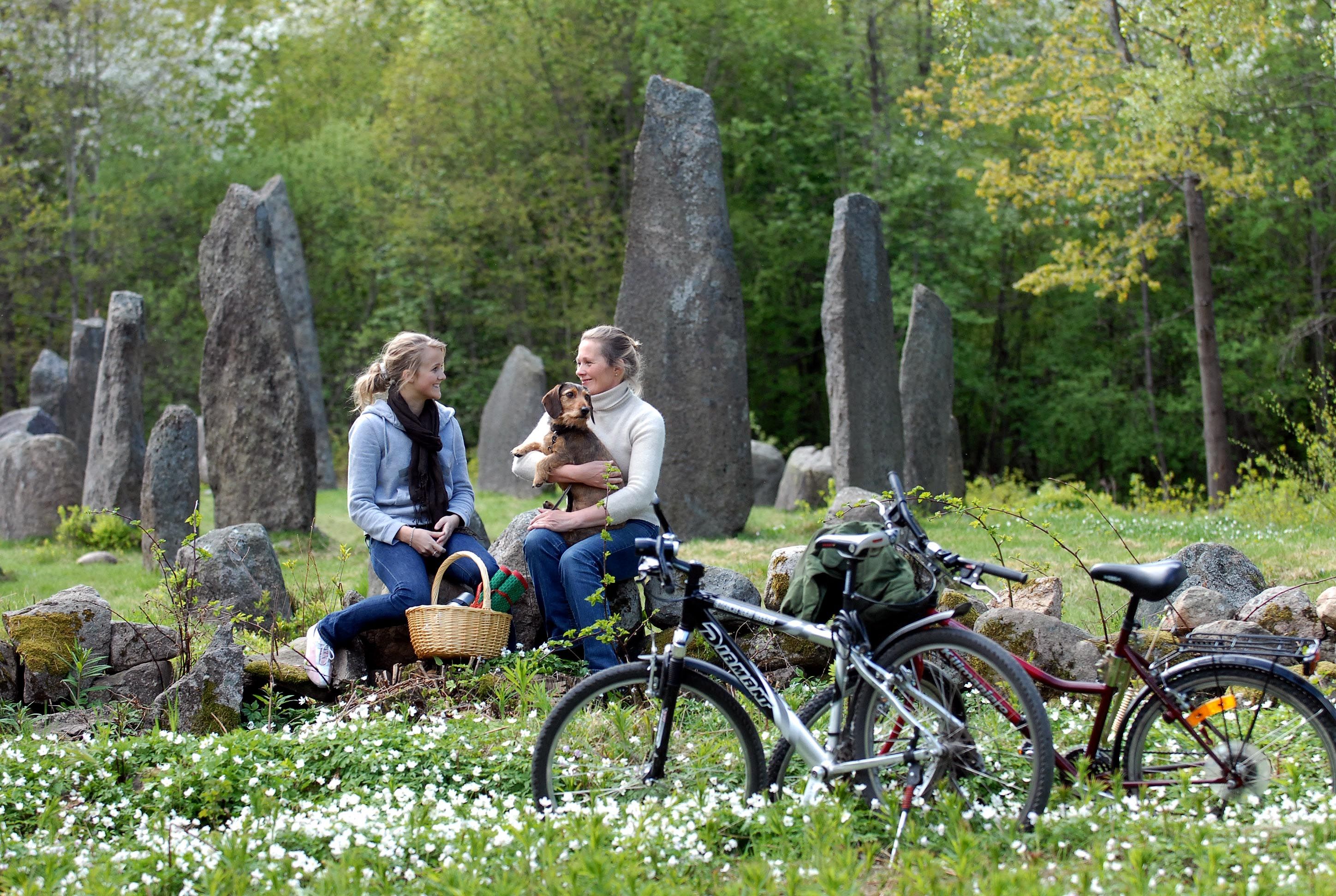 Marumskogen