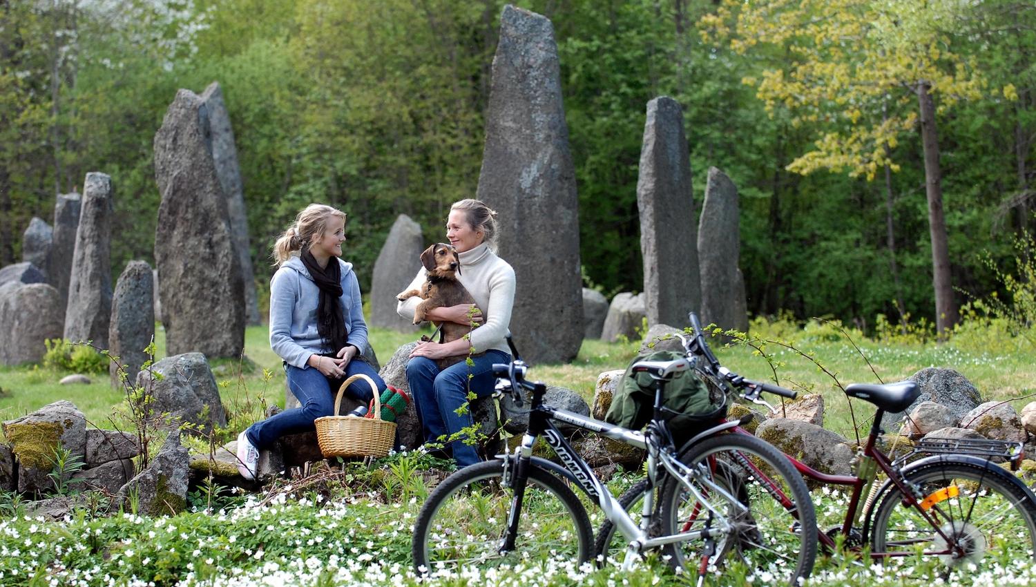 Marumskogen