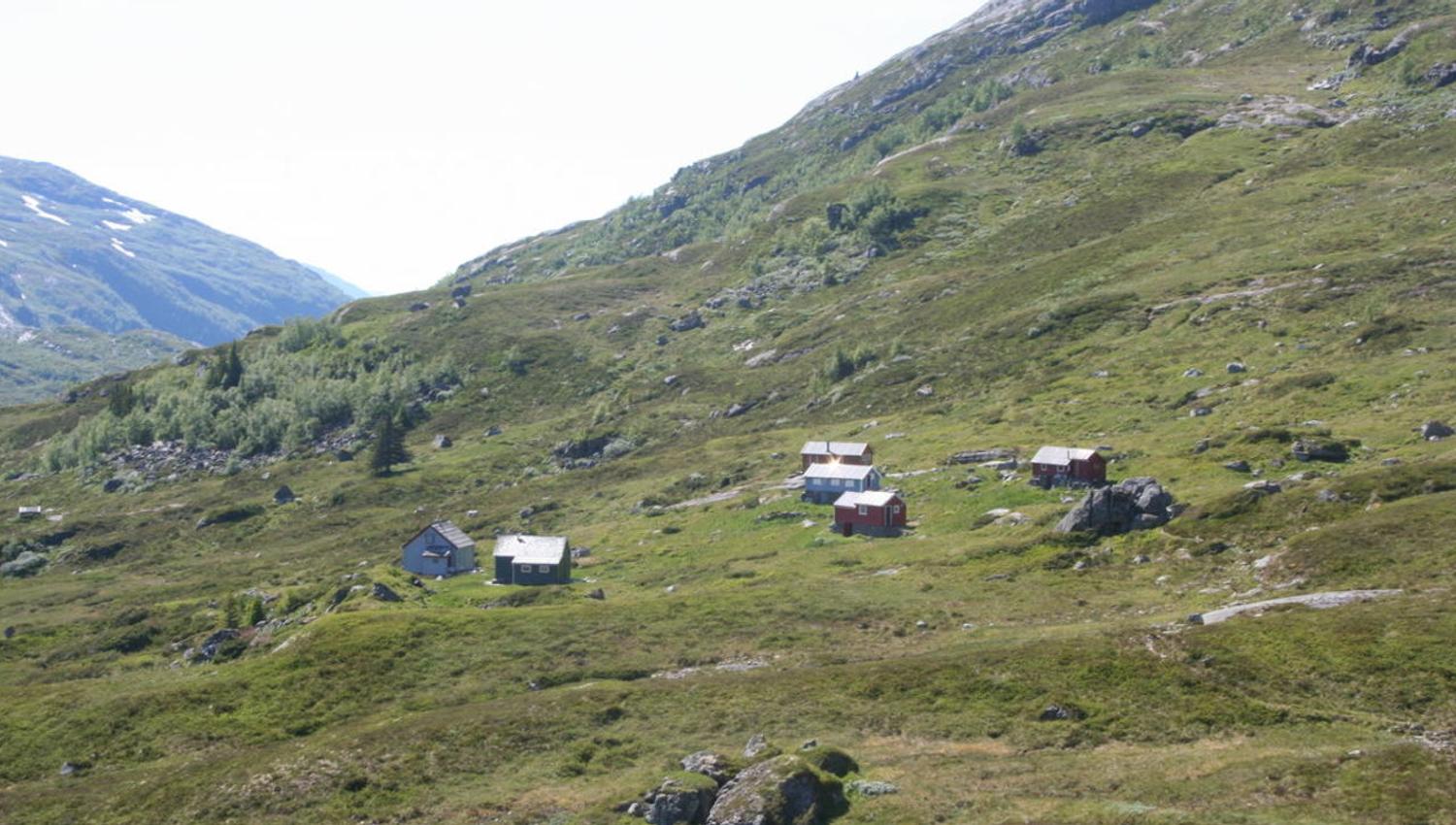 Samdal