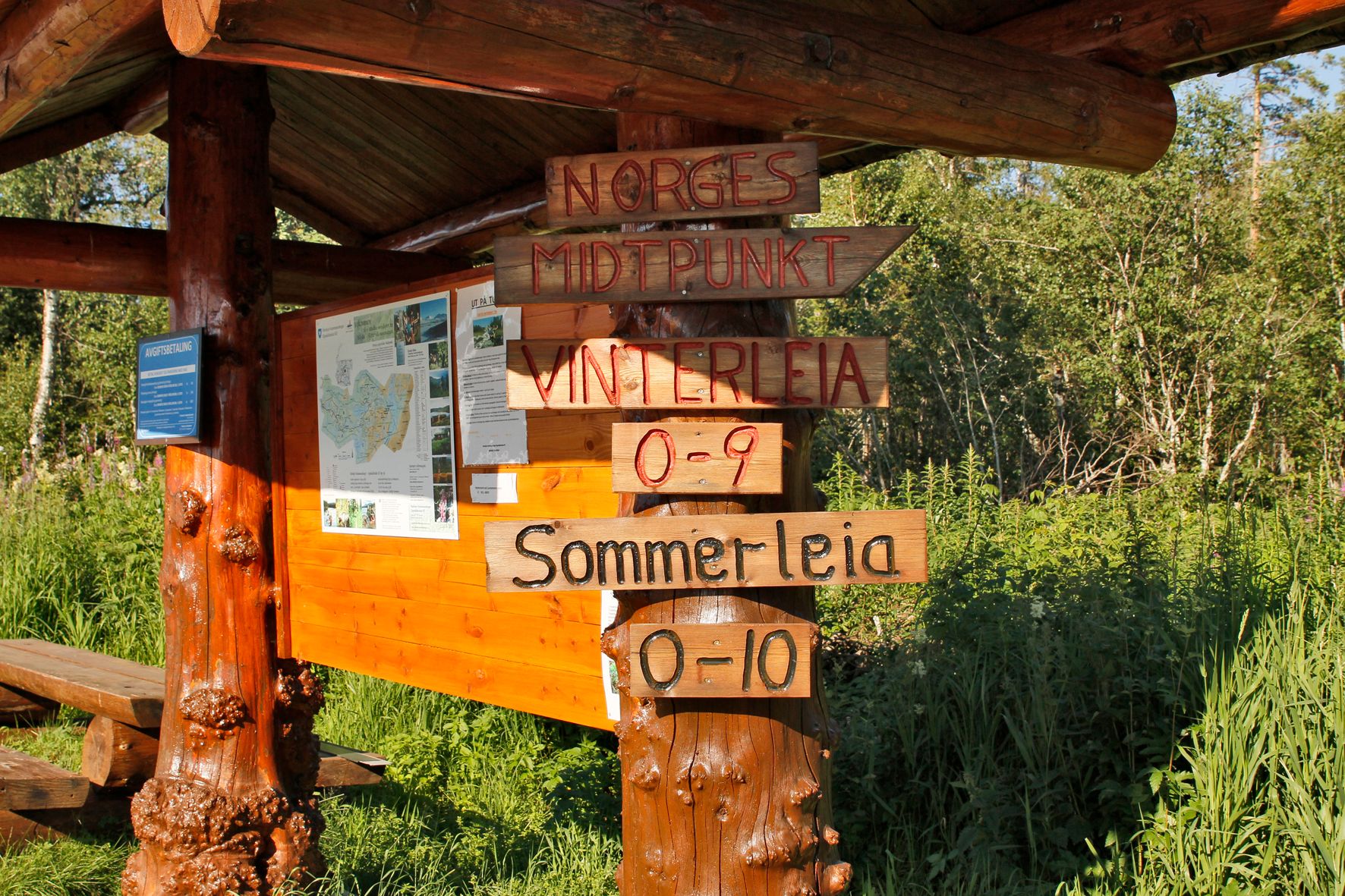 steinkjer steinkjer kommuneskoger vandring norges geografiske midtpunkt (5)