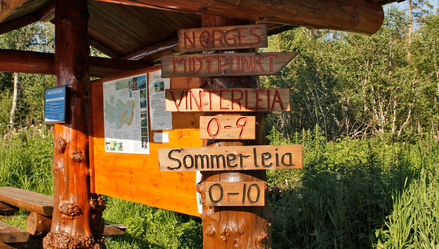 steinkjer steinkjer kommuneskoger vandring norges geografiske midtpunkt (5)