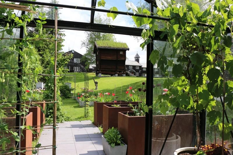 Kjøkkenhage med frodige planter og drivhus, med tradisjonelle trebygninger i bakgrunnen.