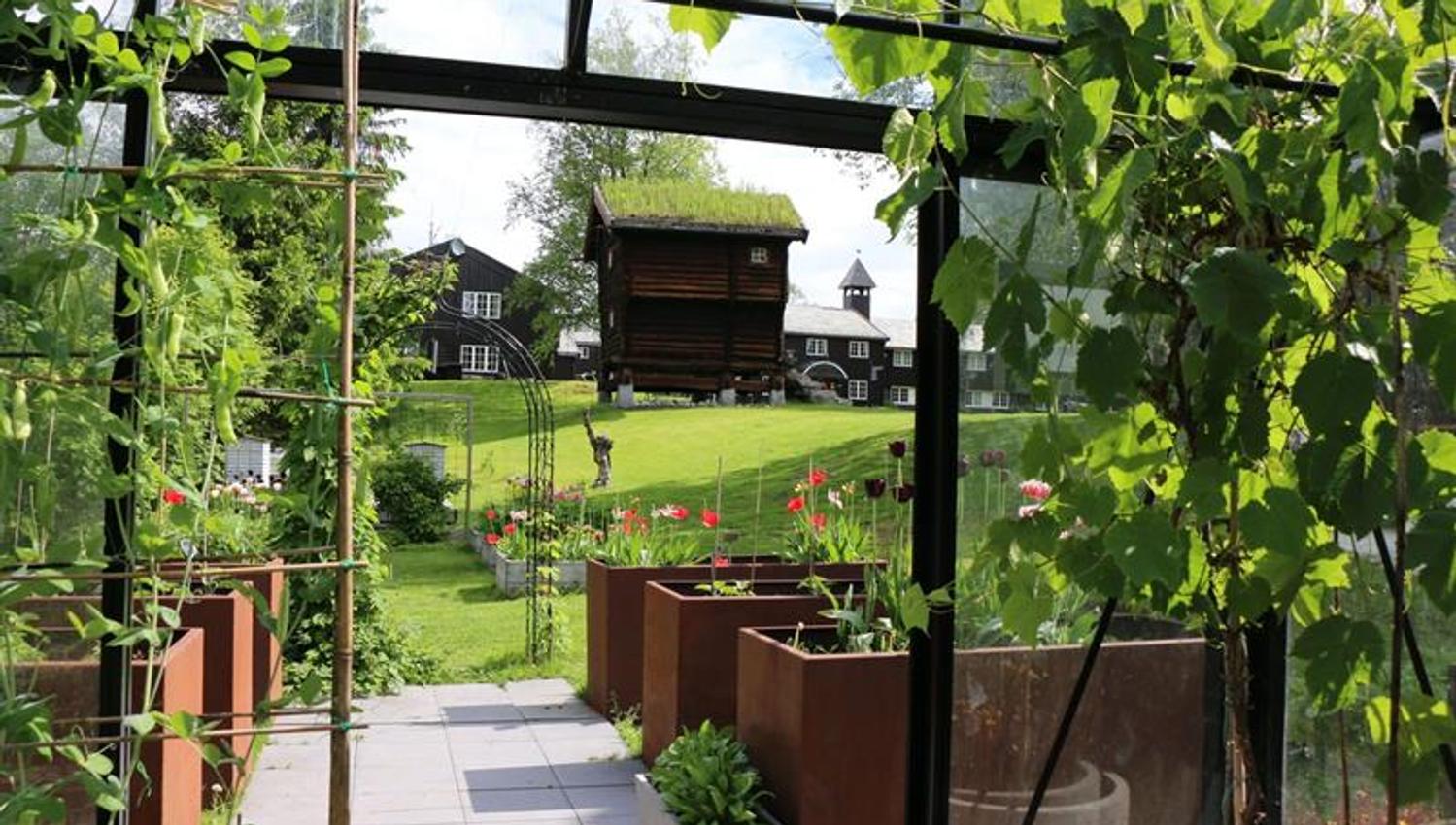 Kjøkkenhage med frodige planter og drivhus, med tradisjonelle trebygninger i bakgrunnen.