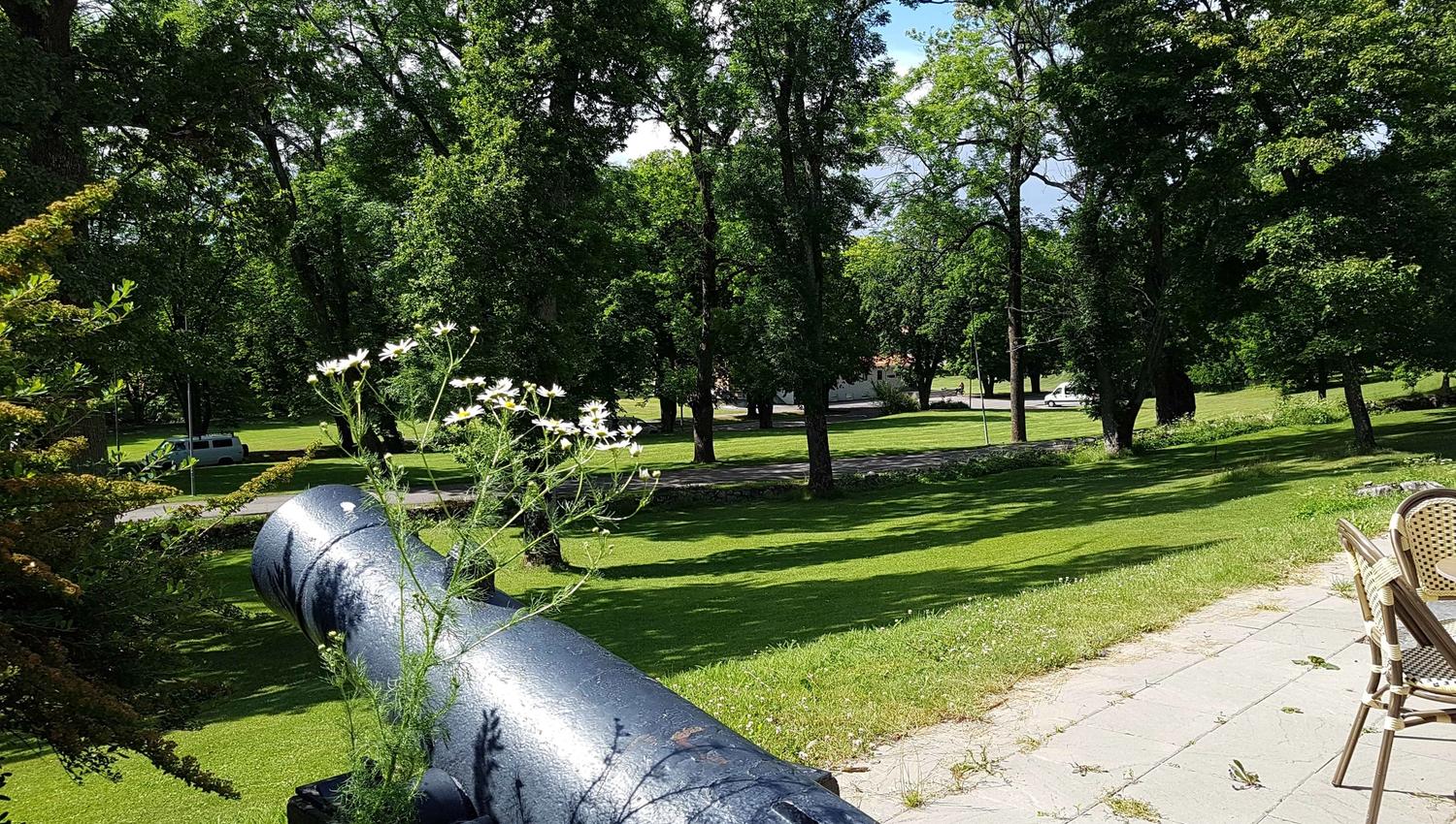 Cannon in the outdoor area